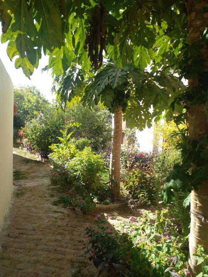 Tasneem Palace Apartment *